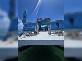 A view of the Seahorse Water Adventures boat, ready for a snorkel and sunset experience, showcasing its vibrant design and safety equipment.
