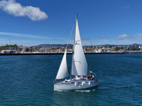 A beautiful sailboat navigates through the harbor waters, showcasing a perfect day for sailing with scenic views of the coastline.