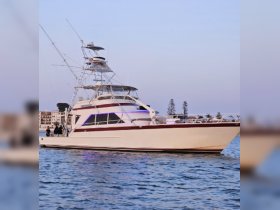 A stunning yacht docked in the harbor, showcasing its elegant design and structure against a serene backdrop. Perfect for luxury charters and fishing adventures.