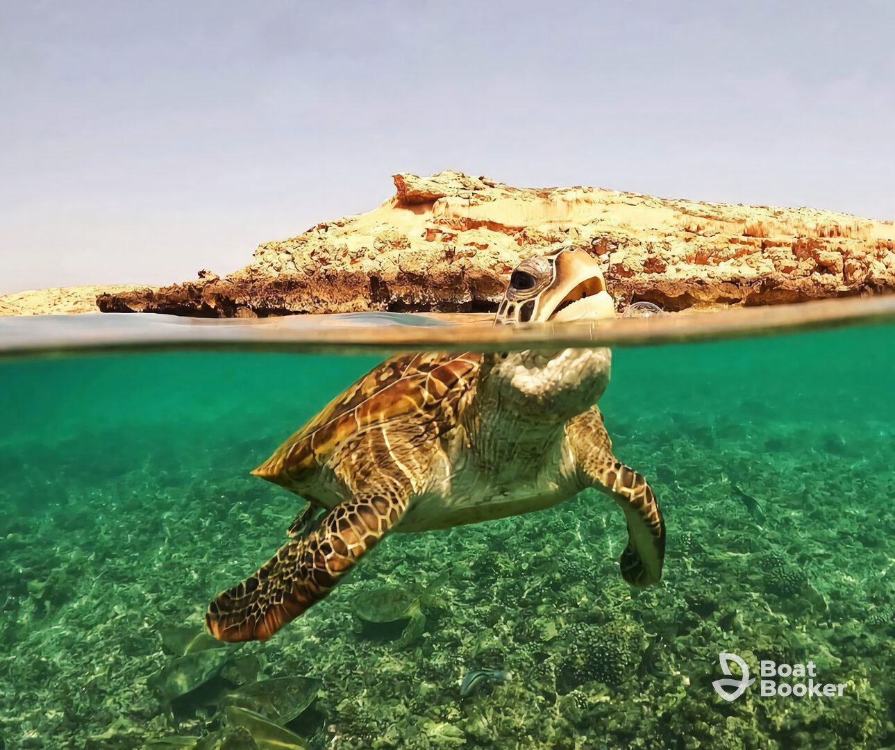 Seeb Sea Tours