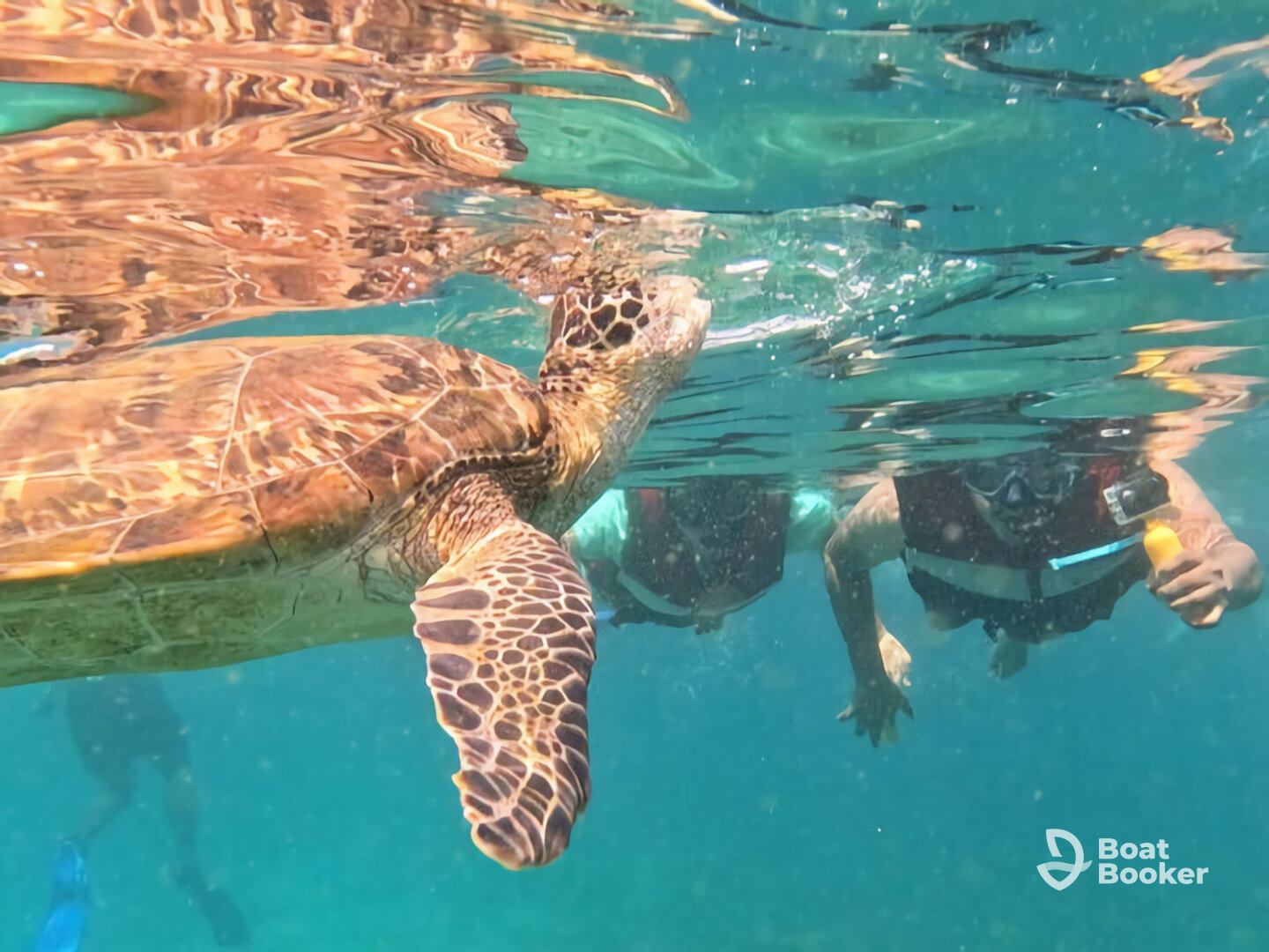 Seeb Sea Tours