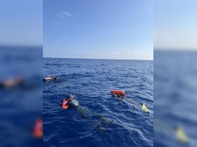 A group of snorkelers explores the vibrant ocean waters, showcasing the excitement of underwater adventures.
