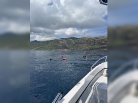 Snorkelers explore the vibrant underwater world off the coast, with stunning cliffs in the background — a perfect adventure for marine enthusiasts.