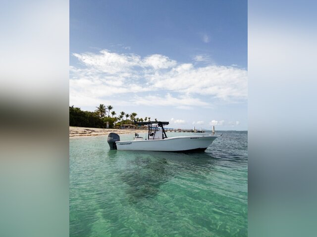 Listing image 1213264
