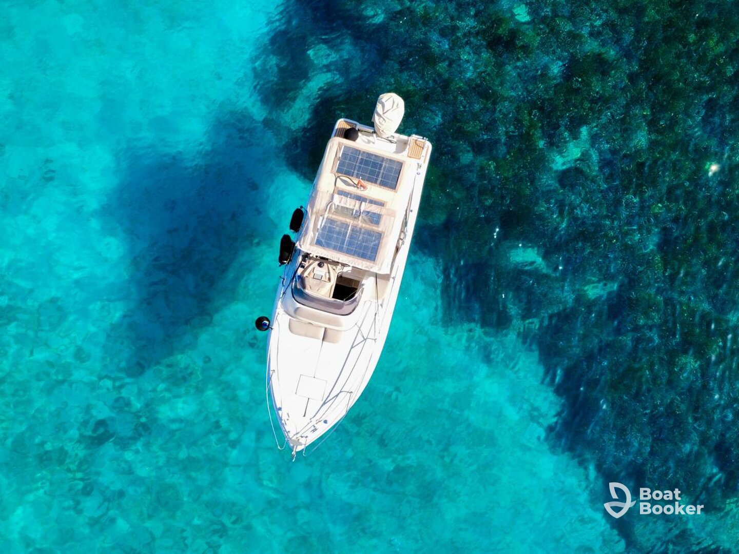 Sea Life Cruises – Private Speed Boat Charter