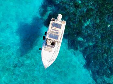 Sea Life Cruises – Private Speed Boat Charter