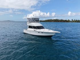 A sleek yacht anchored in clear blue waters, showcasing its elegant design against a picturesque backdrop of tropical greenery.