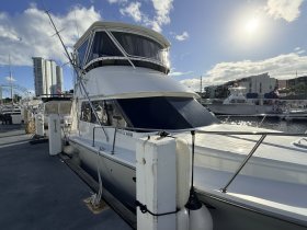 A sleek yacht docked at the marina, showcasing its elegant design and surroundings under a bright sky.