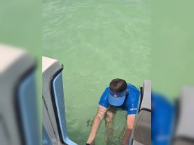 A person is engaged in an on-water activity, likely interacting with the water while near a boat, showcasing the fun and adventure of a day on the water.