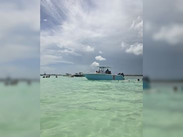 Seahorse Water Adventures
