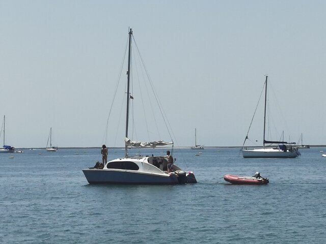 Listing image 1139844