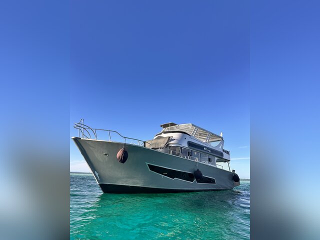 Listing image 1145112