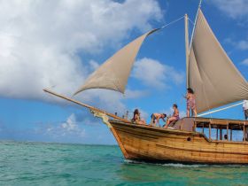 A lively group enjoys sailing on a traditional wooden boat, capturing the essence of adventure and fun on the open ocean.