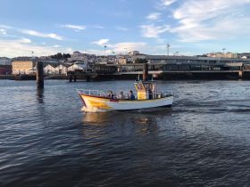 A vibrant speedboat navigates the water, showcasing a scenic backdrop of the waterfront and buildings, perfect for exploring coastal areas.