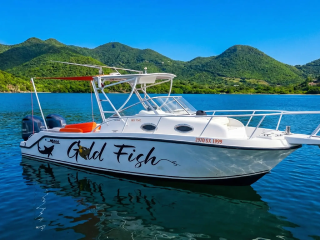Listing image 1140843