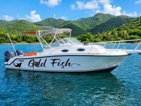 A side view of the 'Gold Fish' boat anchored in calm waters, surrounded by lush green hills, perfect for fishing or leisure outings.