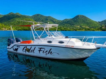 Captain Flint Boat Charters