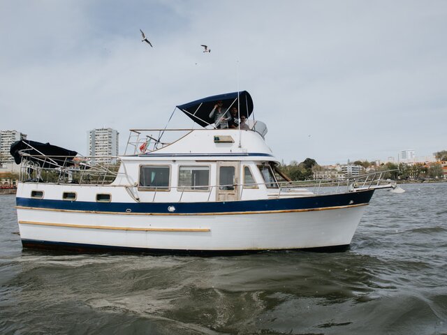 Listing image 1141892