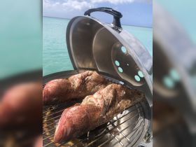 Freshly grilled fish on a barbecue, set against a stunning turquoise backdrop — perfect for a delicious onboard meal during your boating adventure.
