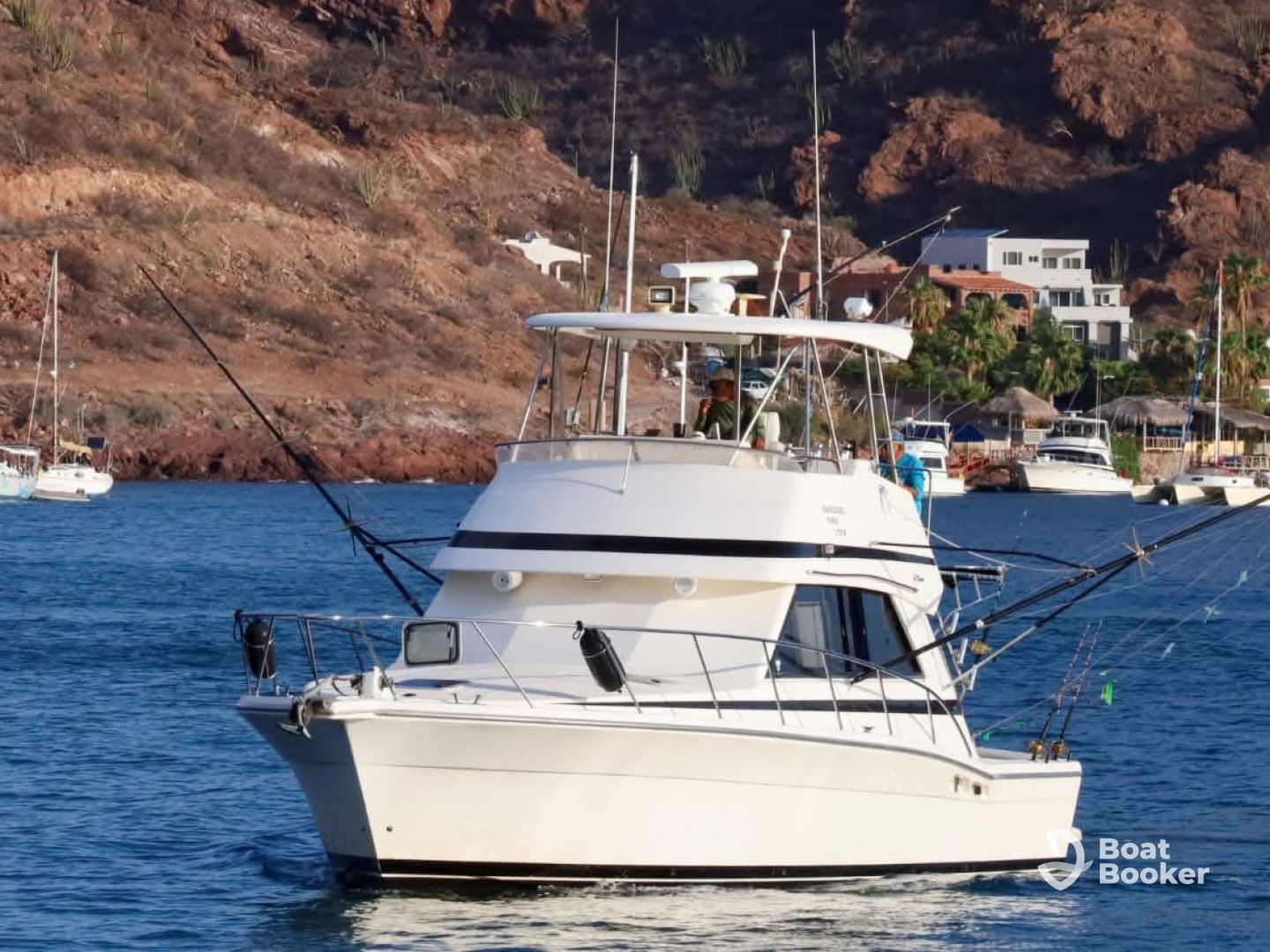 Mad Marlin San Carlos