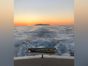 A stunning sunset view from a boat with a freshly caught fish on display, showcasing the beauty of ocean fishing adventures and the serene backdrop of an island.