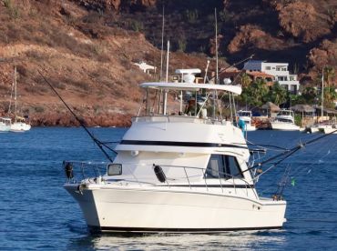 Mad Marlin San Carlos