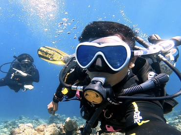 Bali Boat BDS