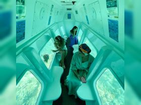 Guests enjoy an underwater experience, observing vibrant marine life through large windows in a semi-submersible vessel — a unique way to explore the ocean's beauty.