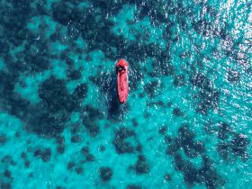 Aerial view of a vibrant red speedboat cruising over crystal-clear turquoise waters, showcasing the stunning underwater scenery below.