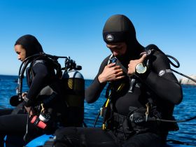 Two divers prepare for an underwater adventure, showcasing the excitement of scuba diving in clear blue waters.