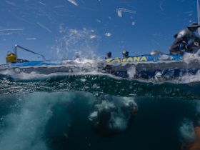 An exciting underwater view of snorkelers enjoying their adventure, with a boat visible above the surface — perfect for showcasing marine exploration experiences.