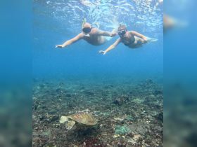 Two snorkelers glide through the crystal-clear waters, encountering a graceful sea turtle — a memorable wildlife experience in the ocean.