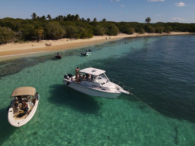 Listing image 1141121