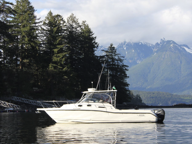 Listing image 1144713