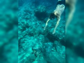 A snorkeler gracefully swims alongside a sea turtle in crystal-clear waters, showcasing a beautiful underwater wildlife encounter.