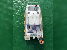 Charter Image