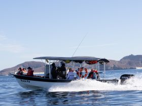 A lively group enjoys an adventure aboard the 'Black Fin' boat, cruising through scenic waters with stunning mountainous backdrops.