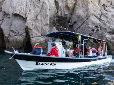 Mexico Travel Adventure - Black Fin Boat