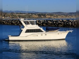 Charter Image