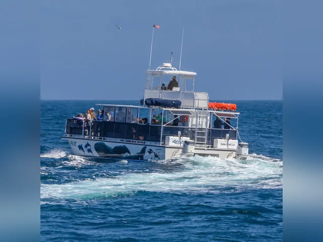 Listing image 1142095