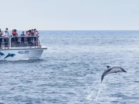 A lively scene captures a dolphin leaping out of the water alongside a boat filled with excited guests, showcasing a thrilling wildlife encounter on the open sea.