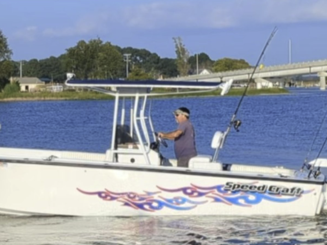 Listing image 1148542