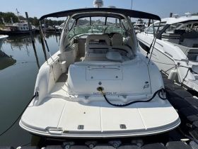 Charter Image