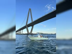 A boat navigates the waters beneath a stunning bridge, showcasing the beauty of the journey and the vibrant scenery.
