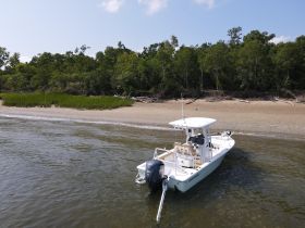 A sleek speedboat is docked on a sandy beach, surrounded by lush greenery — perfect for a day of exploration and relaxation on the water.