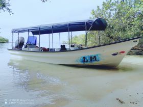 Charter Image