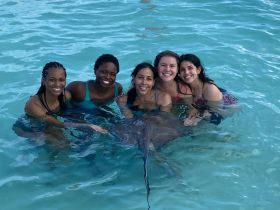 A group of friends joyfully interacts with a stingray while swimming in clear waters — an unforgettable wildlife experience in the tropics.