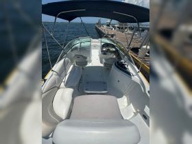 Interior view of a well-equipped boat showcasing comfortable seating and a helm area, perfect for a day on the water.