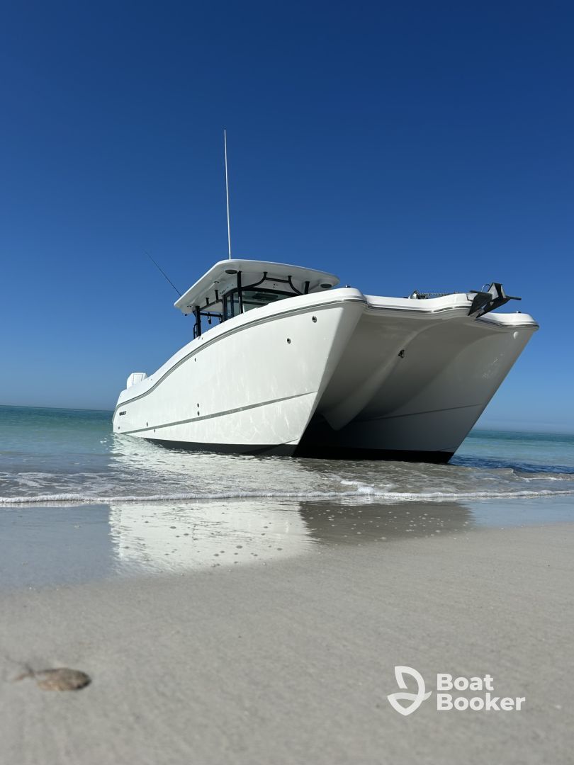 Captain Cuda Charters