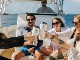 A lively group toasts with drinks aboard a boat, capturing the essence of celebration and camaraderie on the water.